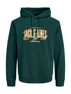 Felpa Jack & Jones Ero Verde con cappuccio 12298491 /Scarab JACK & JONES 