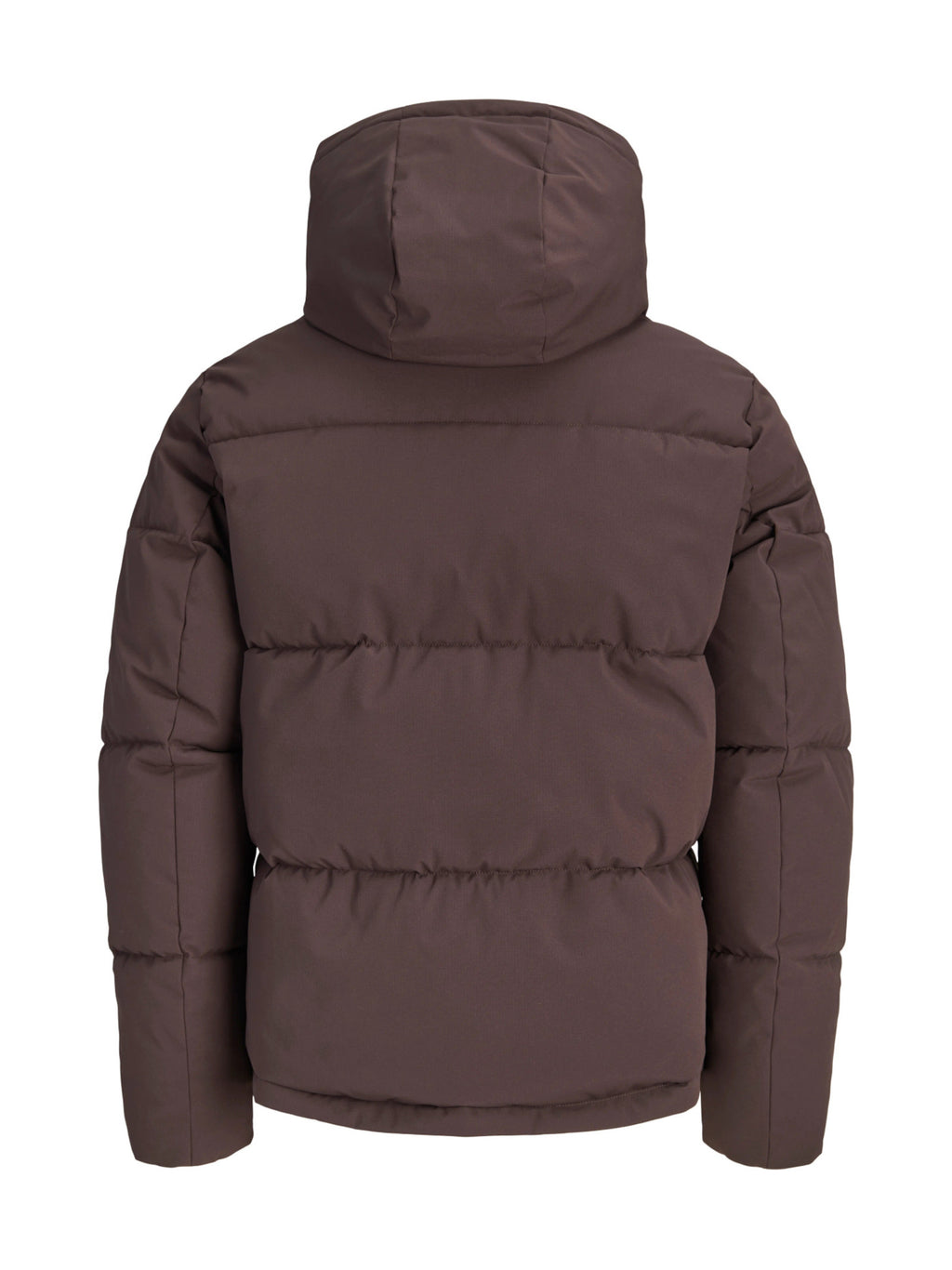 Piumino Jack & Jones Galaxy Marrone 12303930 /Java JACK & JONES 