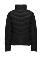 Piumino JDY Fiona Nero con trapuntatura a V 15330086 /Black JDY 