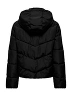Piumino Only Clair Nero corto con cappuccio 15373797 /Black ONLY 