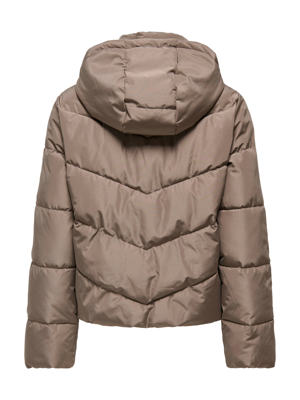 Piumino Only Clair  corto con cappuccio 15373797 /Walnut ONLY 