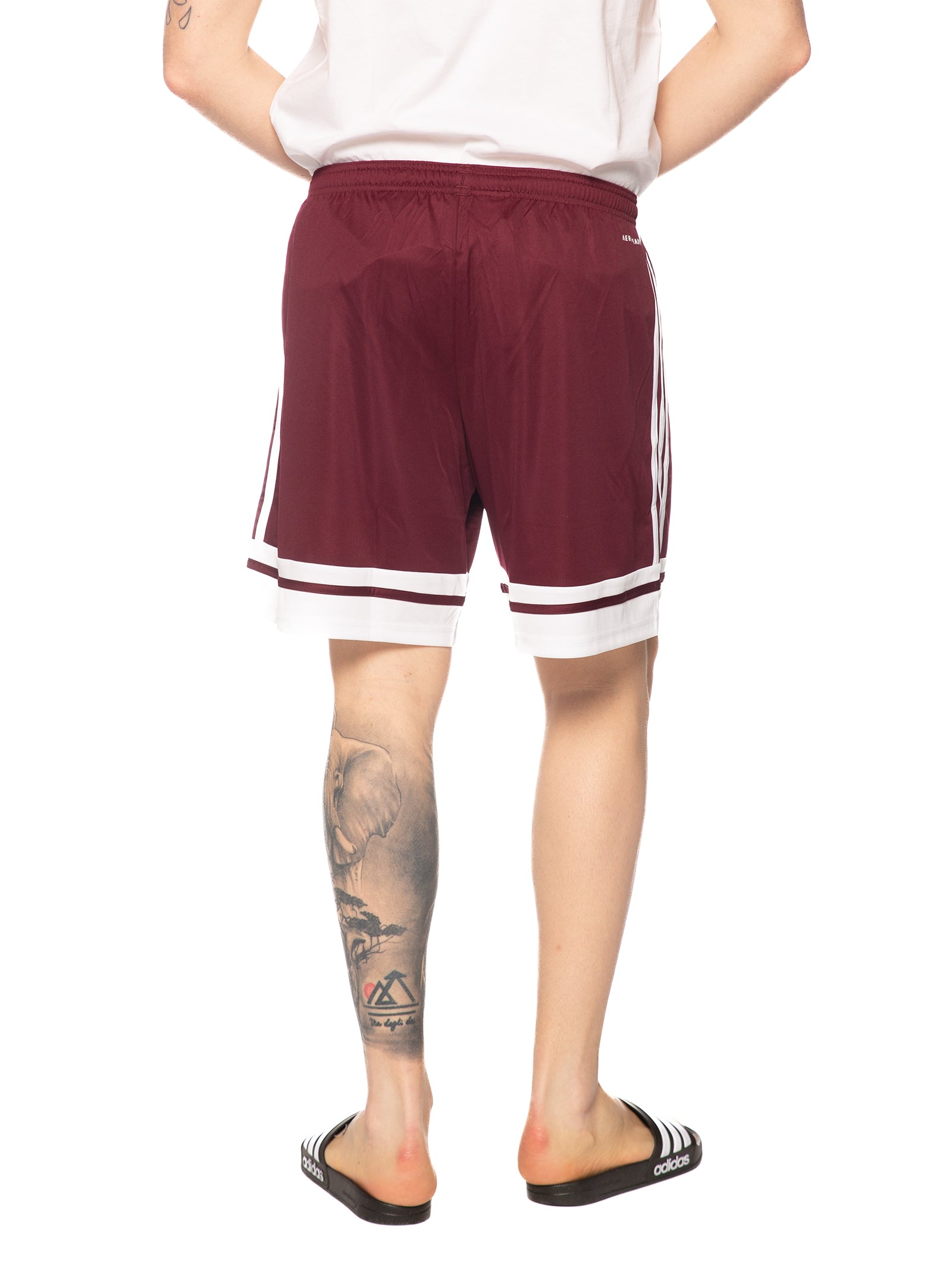 Bermuda Adidas Bordeaux Bianco acetato JC8677 BORDEAUX ADIDAS 
