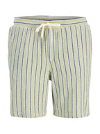 Bermuda Jack & Jones Jaiden Verde a righe 12274413 /Tea JACK & JONES 
