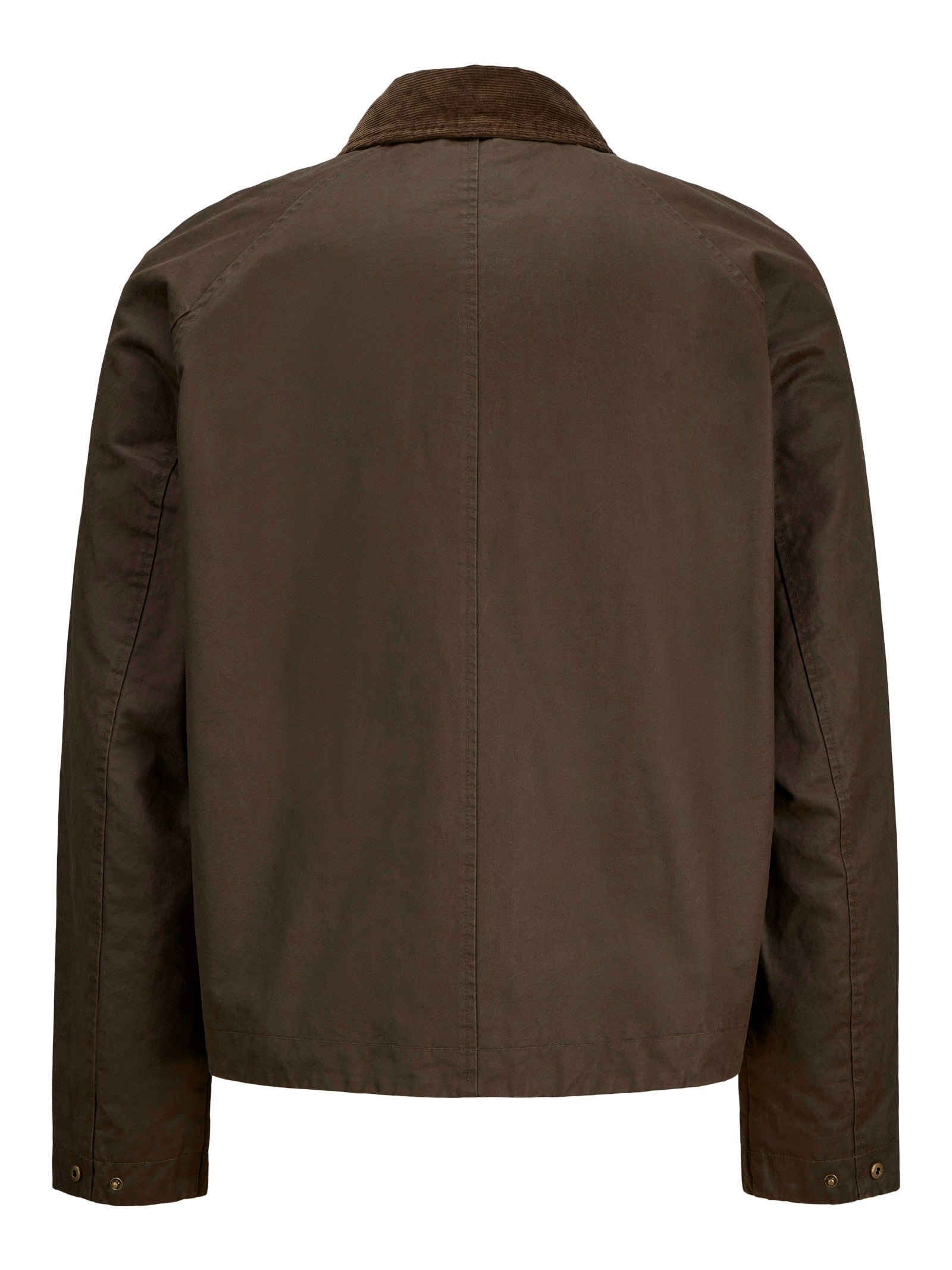 Giacca Jack & Jones Bedford Marrone con colletto 12287647 /Wren JACK & JONES 