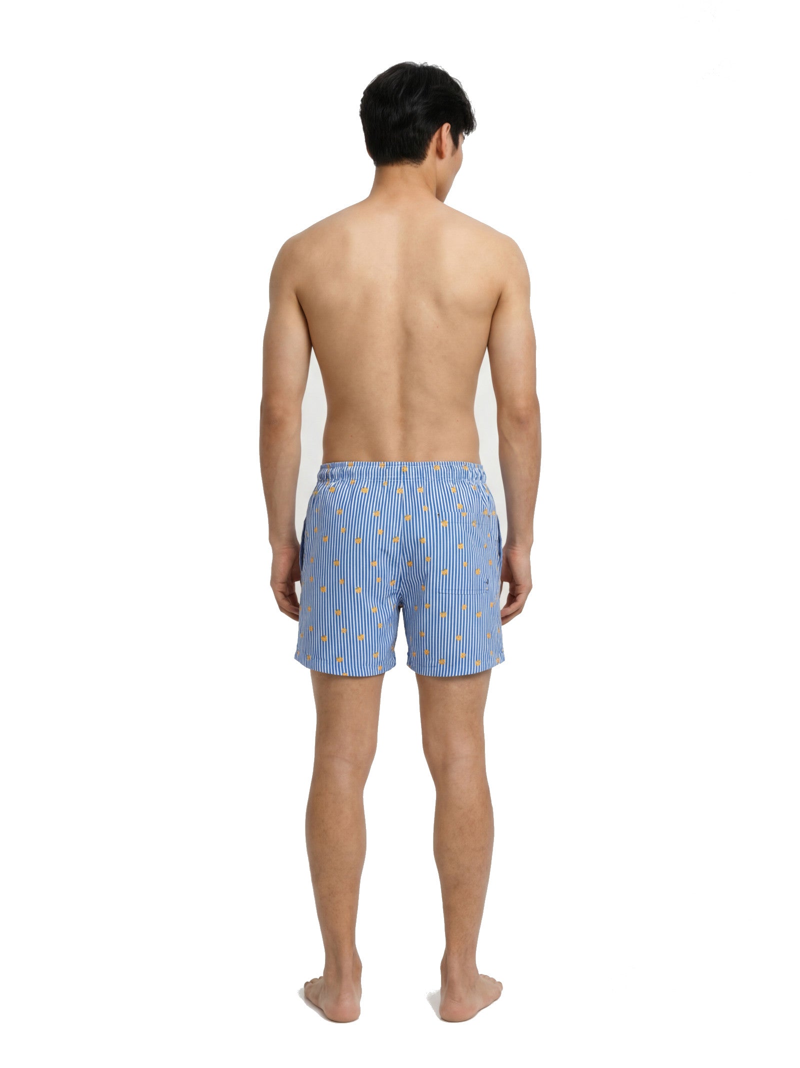 Costume Jack & Jones Maui Stripe Riga blu 12291425 /Delft JACK & JONES 