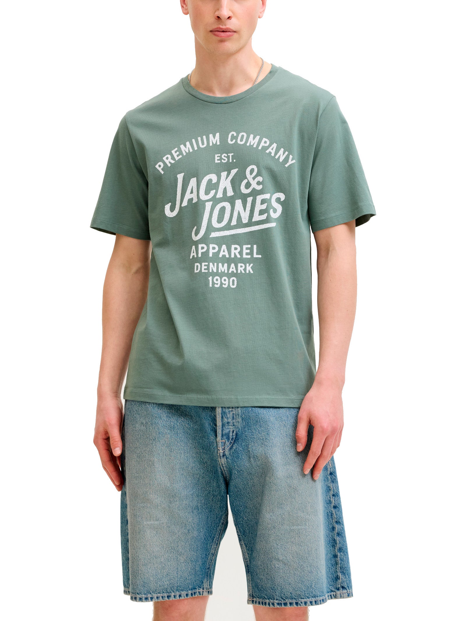 12302467 /Laurel Wreath JACK & JONES 