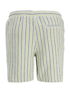 Bermuda Jack & Jones Jaiden Verde a righe 12274413 /Tea JACK & JONES 