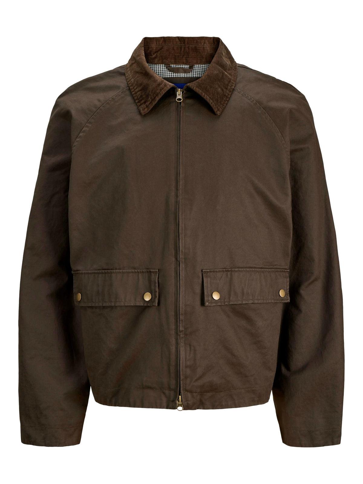 Giacca Jack & Jones Bedford Marrone con colletto 12287647 /Wren JACK & JONES 