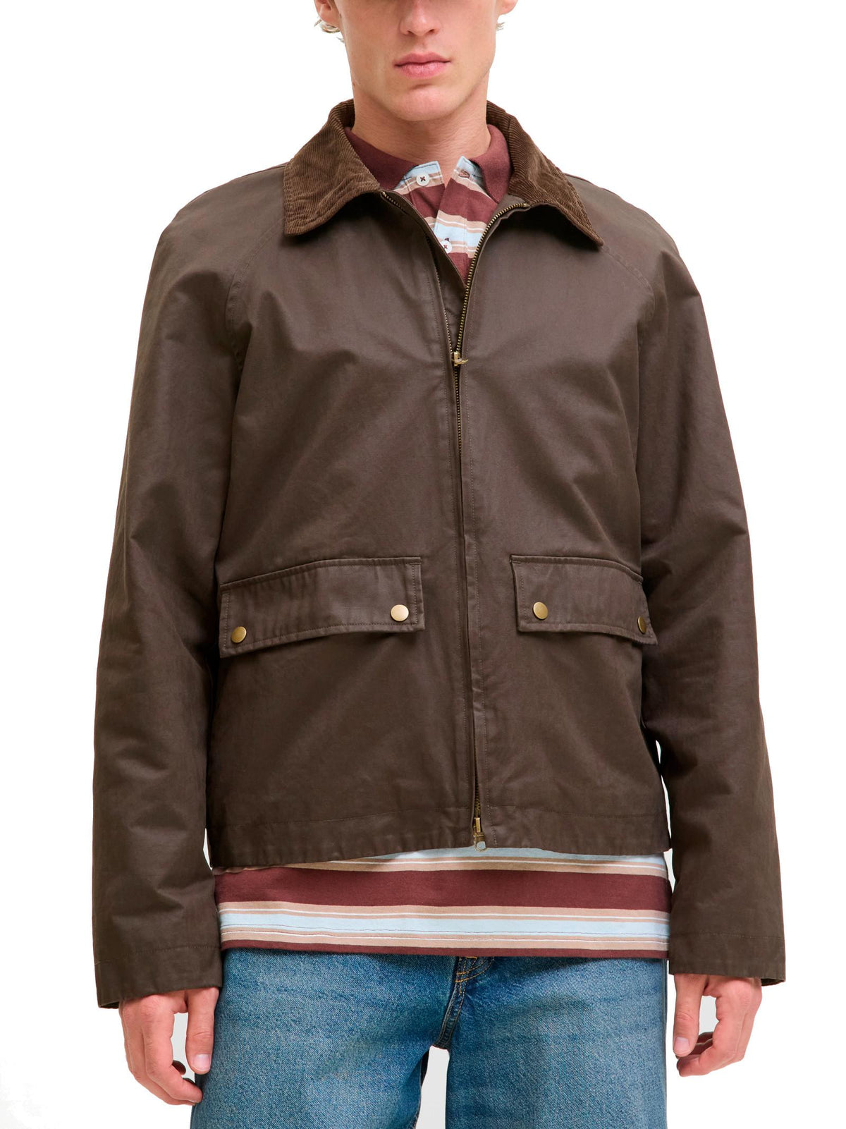 Giacca Jack & Jones Bedford Marrone con colletto 12287647 /Wren JACK & JONES 