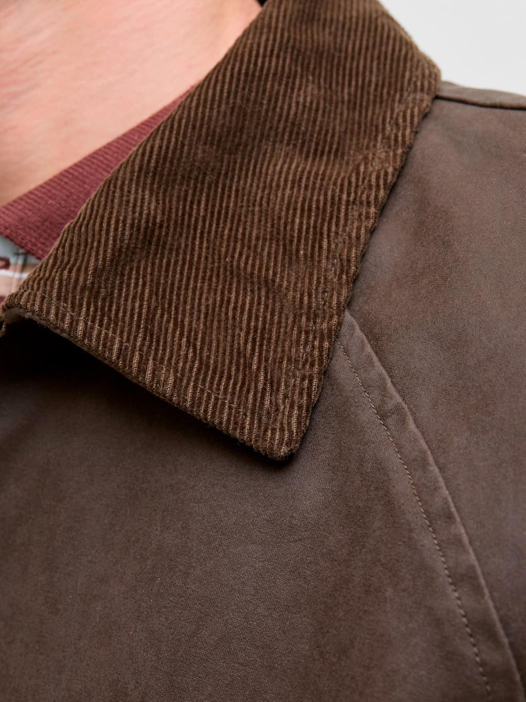 Giacca Jack & Jones Bedford Marrone con colletto 12287647 /Wren JACK & JONES 