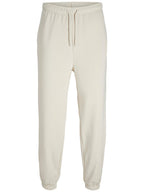 Pantalone Jack & Jones Gordon Panna di tuta 12257964 /Moonbeam JACK & JONES 