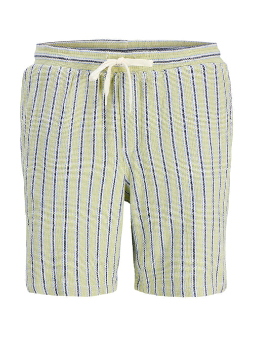 Bermuda Jack & Jones Jaiden Verde a righe 12274413 /Tea JACK & JONES 