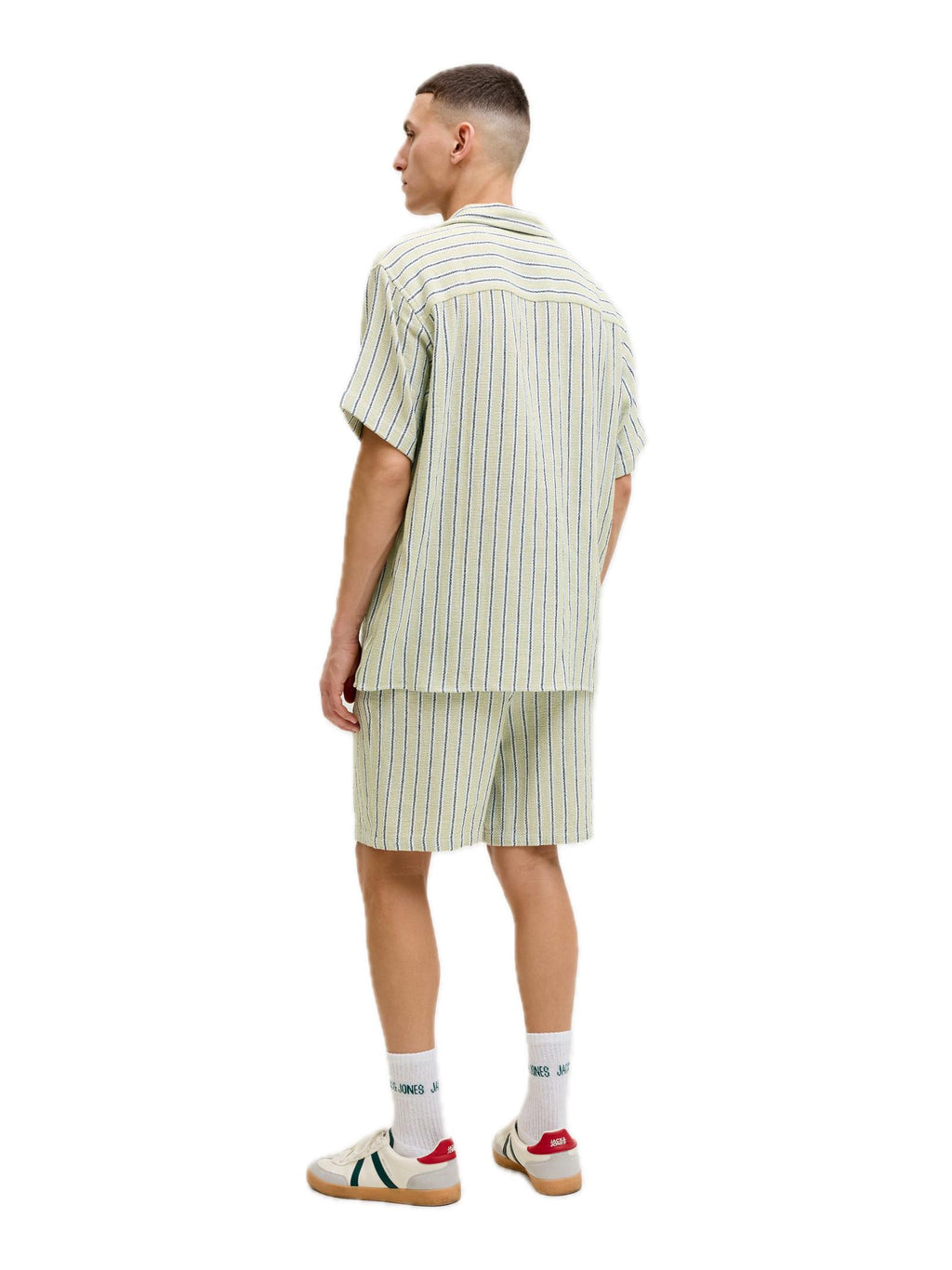 Bermuda Jack & Jones Jaiden Verde a righe 12274413 /Tea JACK & JONES 