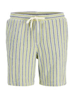 Bermuda Jack & Jones Jaiden Verde a righe 12274413 /Tea JACK & JONES 