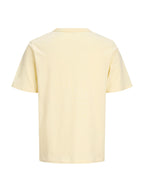  12295038 /Flan JACK & JONES 