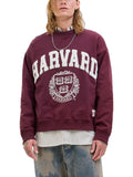 Felpa Jack & Jones Harvard Bordeaux ricamo 12290579 /Maroon Banner JACK & JONES 