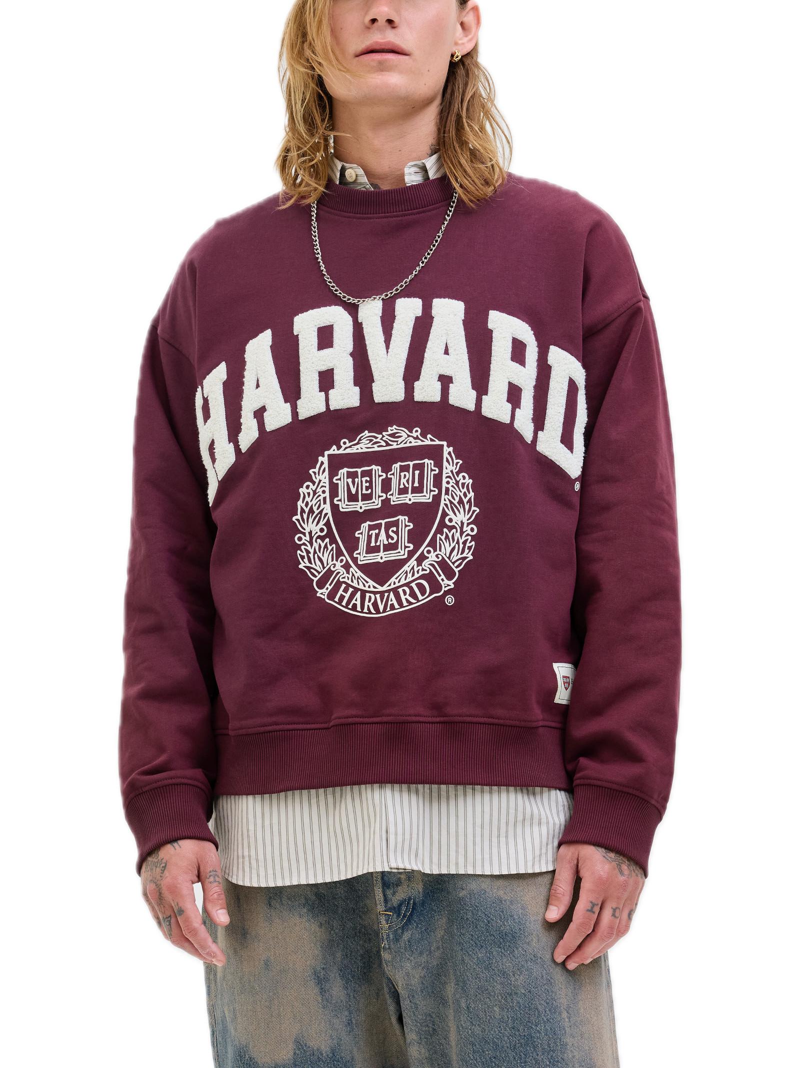 Felpa Jack & Jones Harvard Bordeaux ricamo 12290579 /Maroon Banner JACK & JONES 