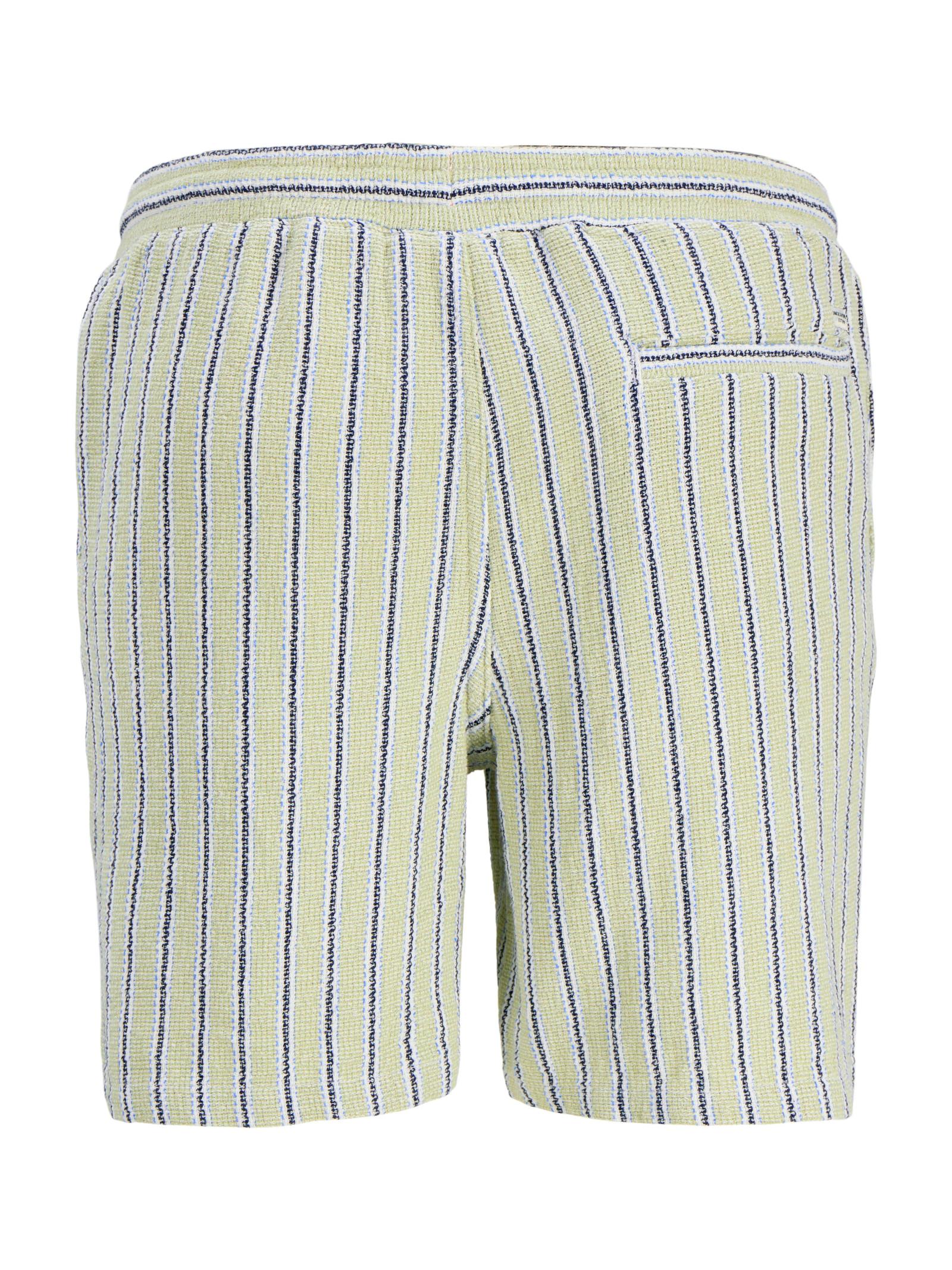 Bermuda Jack & Jones Jaiden Verde a righe 12274413 /Tea JACK & JONES 