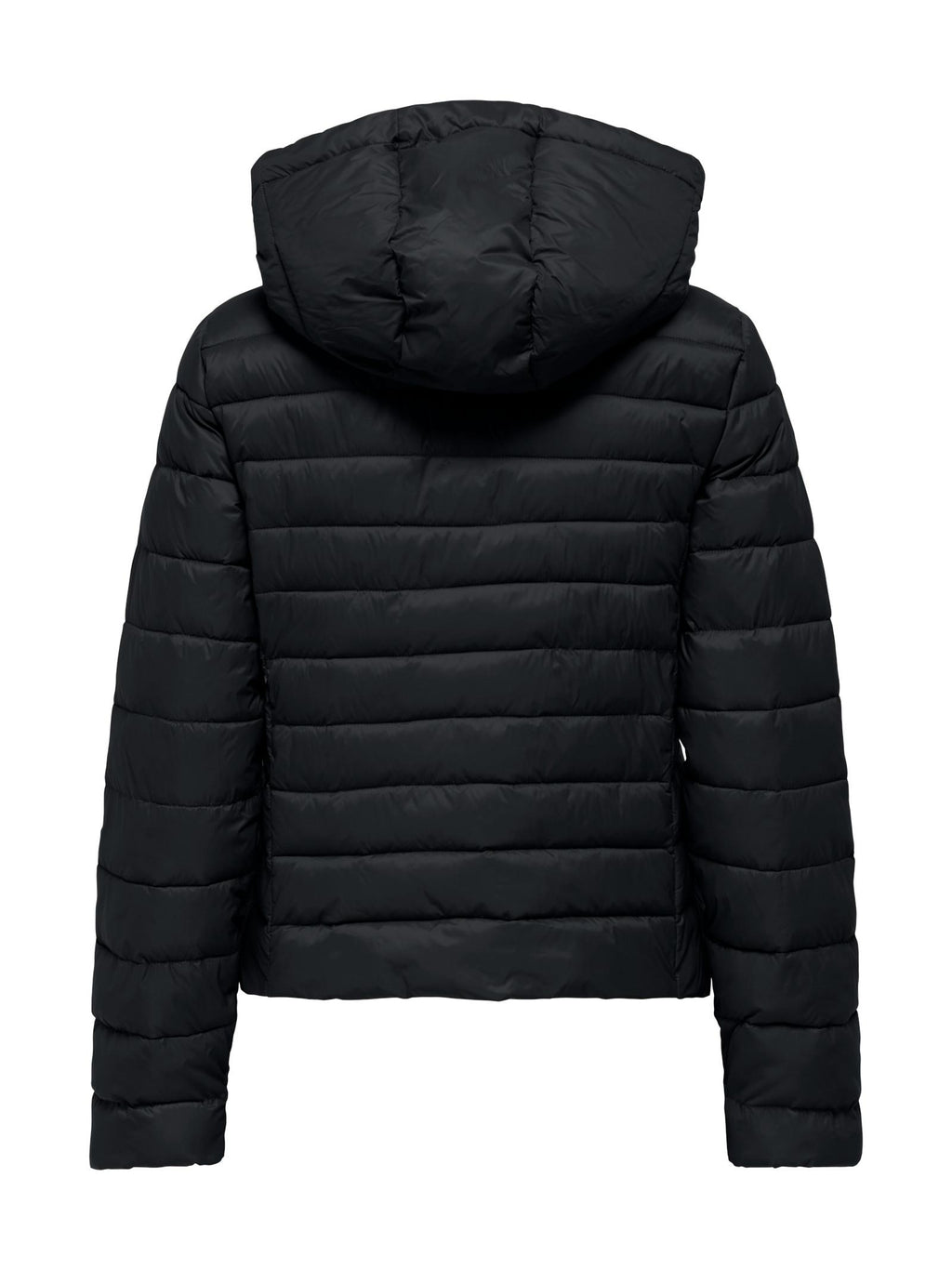 Piumino Only Taia Nero con cappuccio 15352020 /Black ONLY 